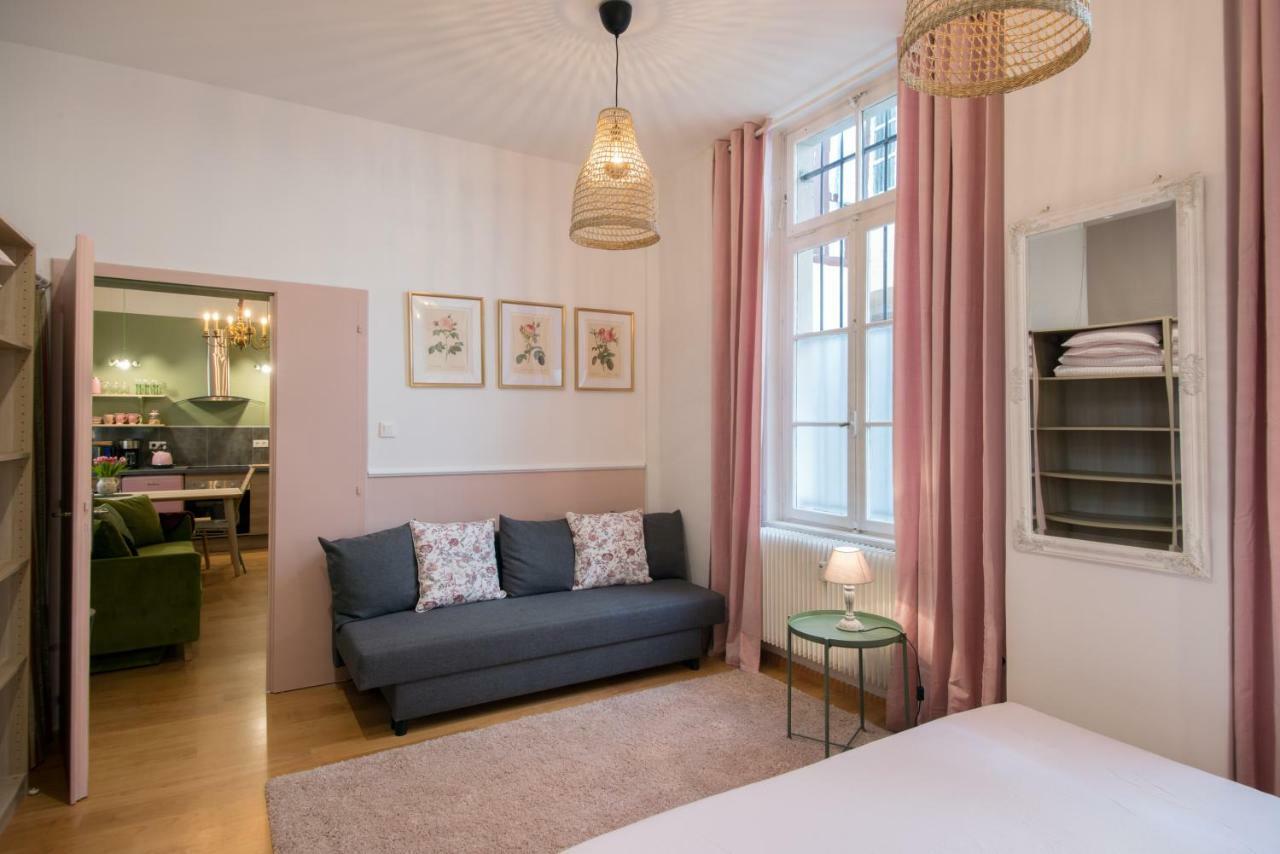 " Mademoiselle " 17 Boulevard Du Champ De Mars 科尔马 外观 照片